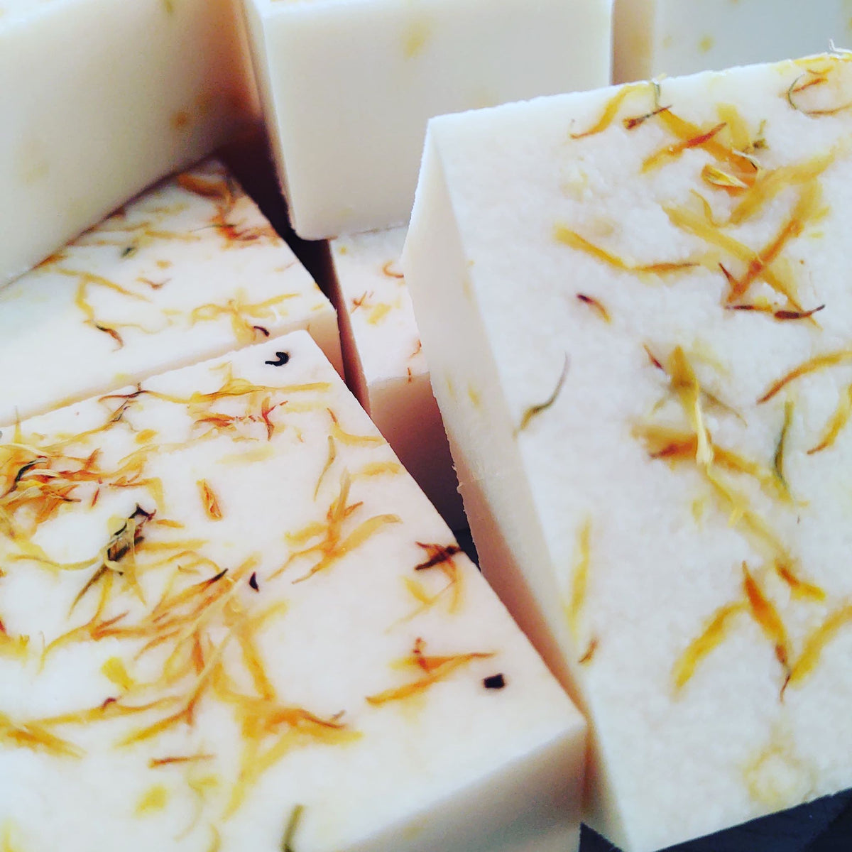 Sweet Orange Calendula